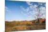 The Beehive-Like Mounds-Michael Runkel-Mounted Photographic Print