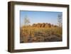 The Beehive-Like Mounds-Michael Runkel-Framed Photographic Print