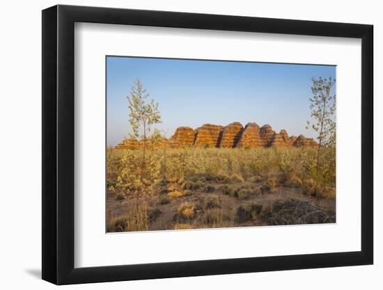 The Beehive-Like Mounds-Michael Runkel-Framed Photographic Print