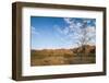 The Beehive-Like Mounds-Michael Runkel-Framed Photographic Print