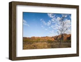 The Beehive-Like Mounds-Michael Runkel-Framed Photographic Print