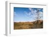 The Beehive-Like Mounds-Michael Runkel-Framed Photographic Print