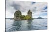The Beehives (Dawapia Rocks) in Simpson Harbour, Rabaul, East New Britain, Papua New Guinea, Pacifi-Michael Runkel-Stretched Canvas