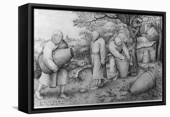 The Beekeepers, 'If You Know Where the Treasure Is, You Can Rob It', C.1567-68-Pieter Bruegel the Elder-Framed Stretched Canvas