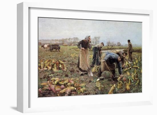 The Beet Harvest-Emile Claus-Framed Art Print