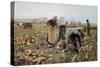 The Beet Harvest-Emile Claus-Stretched Canvas