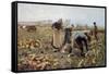 The Beet Harvest-Emile Claus-Framed Stretched Canvas