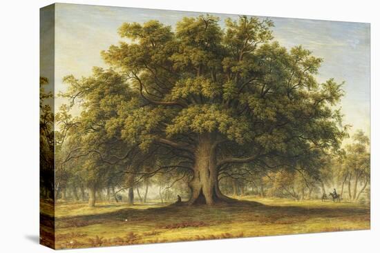 The Beggars Oak-John Glover-Stretched Canvas