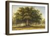 The Beggars Oak-John Glover-Framed Giclee Print