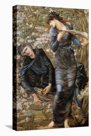 The Beguiling of Merlin-Edward Burne-Jones-Stretched Canvas