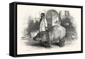 The Behemoth, or Hippopotamus-null-Framed Stretched Canvas