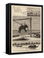 The Belgian African Expedition, Disembarking Elephants at Msasani Bay-John Charles Dollman-Framed Stretched Canvas