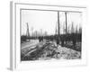 The Belgian Army Heading for the Trenches, 1914-Jacques Moreau-Framed Photographic Print