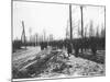 The Belgian Army Heading for the Trenches, 1914-Jacques Moreau-Mounted Photographic Print