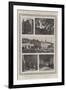 The Belief in Miracles in the Twentieth Century, Scenes of Reputed Cures-null-Framed Giclee Print