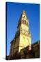 The Bell Tower of the Mezquita Cathedral, Cordoba, Andalucia, Spain-Carlo Morucchio-Stretched Canvas