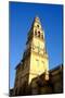 The Bell Tower of the Mezquita Cathedral, Cordoba, Andalucia, Spain-Carlo Morucchio-Mounted Photographic Print