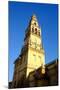 The Bell Tower of the Mezquita Cathedral, Cordoba, Andalucia, Spain-Carlo Morucchio-Mounted Photographic Print