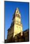 The Bell Tower of the Mezquita Cathedral, Cordoba, Andalucia, Spain-Carlo Morucchio-Mounted Photographic Print