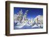 The bell tower submerged by snow surrounded by woods Maloja Canton of Engadine Switzerland Europe-ClickAlps-Framed Photographic Print