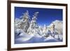 The bell tower submerged by snow surrounded by woods Maloja Canton of Engadine Switzerland Europe-ClickAlps-Framed Photographic Print