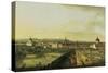 The Belvedere from Gesehen, Vienna-Bernardo Bellotto-Stretched Canvas