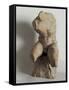 the Belvedere Torso-null-Framed Stretched Canvas