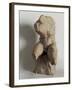 the Belvedere Torso-null-Framed Giclee Print