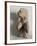 the Belvedere Torso-null-Framed Giclee Print