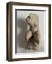 the Belvedere Torso-null-Framed Giclee Print