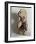 the Belvedere Torso-null-Framed Giclee Print