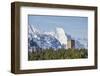 The Belvedere Tower Frames Snowy Peaks and Peak Badile on a Spring Day, Switzerland-Roberto Moiola-Framed Photographic Print