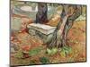 The Bench at Saint-Remy, c.1889-Vincent van Gogh-Mounted Giclee Print