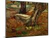 The Bench of Saint-Remy, c.1889-Vincent van Gogh-Mounted Giclee Print