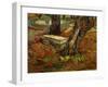 The Bench of Saint-Remy, c.1889-Vincent van Gogh-Framed Giclee Print