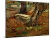 The Bench of Saint-Remy, c.1889-Vincent van Gogh-Mounted Giclee Print