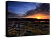 The Bench-Doug Chinnery-Stretched Canvas