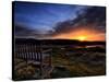 The Bench-Doug Chinnery-Stretched Canvas