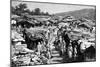 The Beni-Ramasses Quarter, Constantine, Algeria, 1895-Ivan Pranishnikoff-Mounted Giclee Print