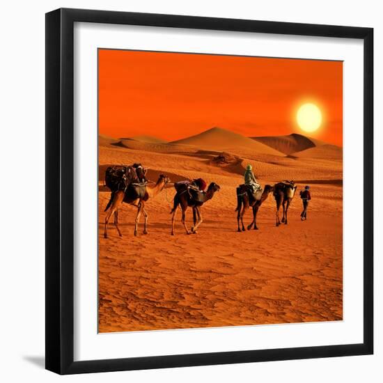 The Berbesky Tribe Passes the Desert in Africa-seqoya-Framed Photographic Print