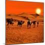 The Berbesky Tribe Passes the Desert in Africa-seqoya-Mounted Photographic Print