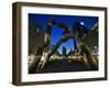 The Berlin Sculpture by Night, Tiergarten, Berlin, Germany-Cahir Davitt-Framed Photographic Print