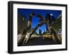 The Berlin Sculpture by Night, Tiergarten, Berlin, Germany-Cahir Davitt-Framed Photographic Print