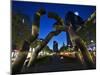 The Berlin Sculpture by Night, Tiergarten, Berlin, Germany-Cahir Davitt-Mounted Photographic Print