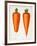 The Best Carrots, Illustration from 'Harrisons' Seed Catalogue' C.1900-null-Framed Giclee Print