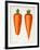 The Best Carrots, Illustration from 'Harrisons' Seed Catalogue' C.1900-null-Framed Giclee Print