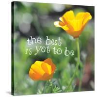 The Best Is Yet to Be-Robbin Rawlings-Stretched Canvas