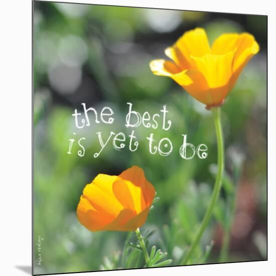 The Best Is Yet to Be-Robbin Rawlings-Mounted Art Print