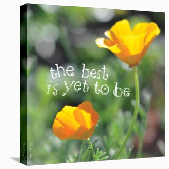 The Best Is Yet to Be-Robbin Rawlings-Stretched Canvas