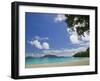 The Best on Santo, Champagne Beach, Espiritu Santo Island, Vanuatu-Walter Bibikow-Framed Photographic Print